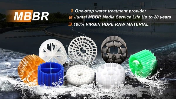product-600-338 product-600-338